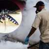 Dos niños mueren por dengue hemorrágico en Panamá